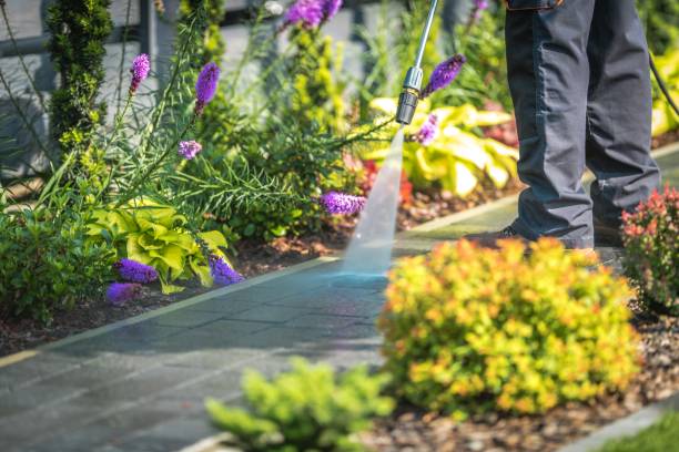 Best Driveway Pressure Washing  in Oakdale, LA